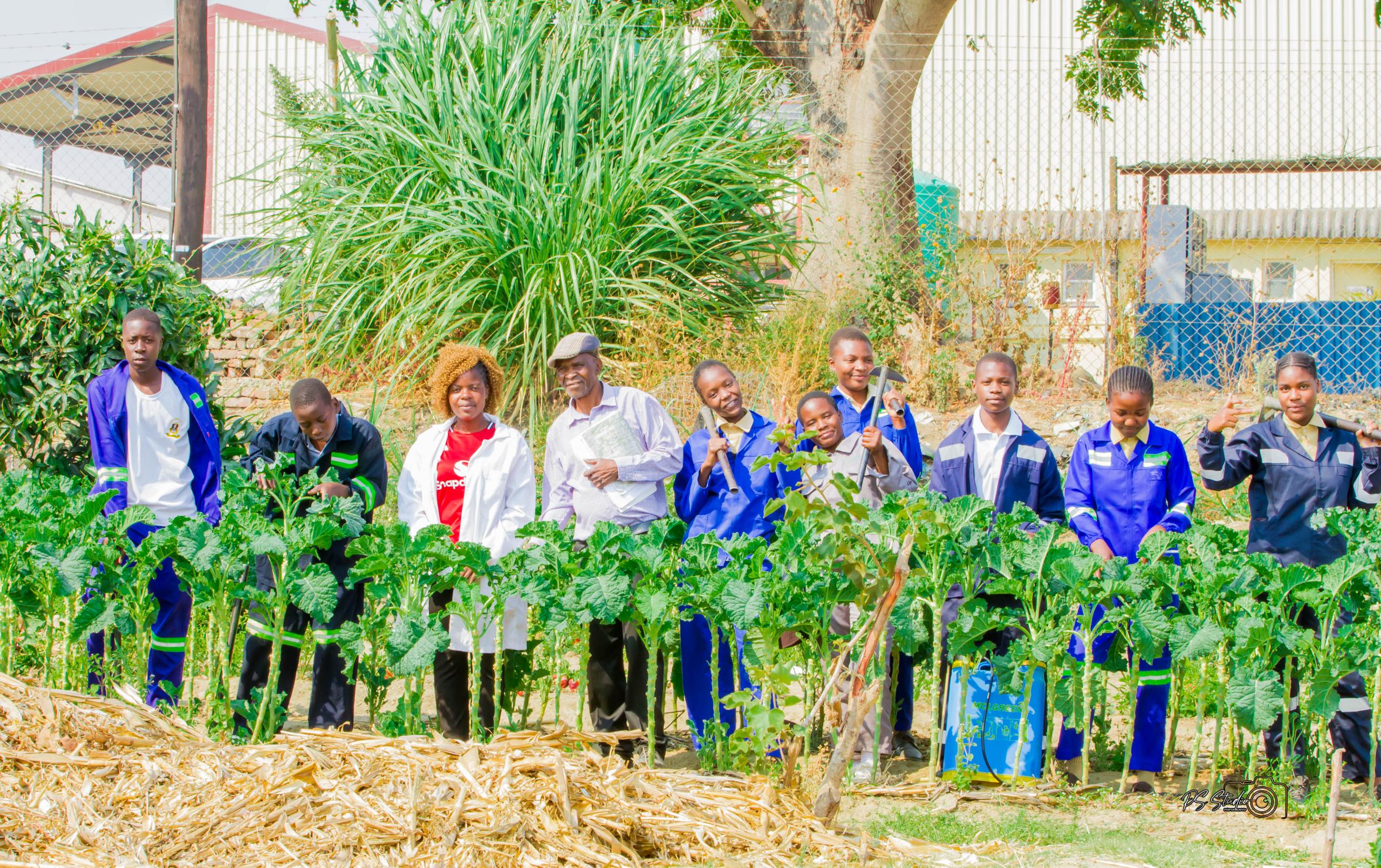 School Farm