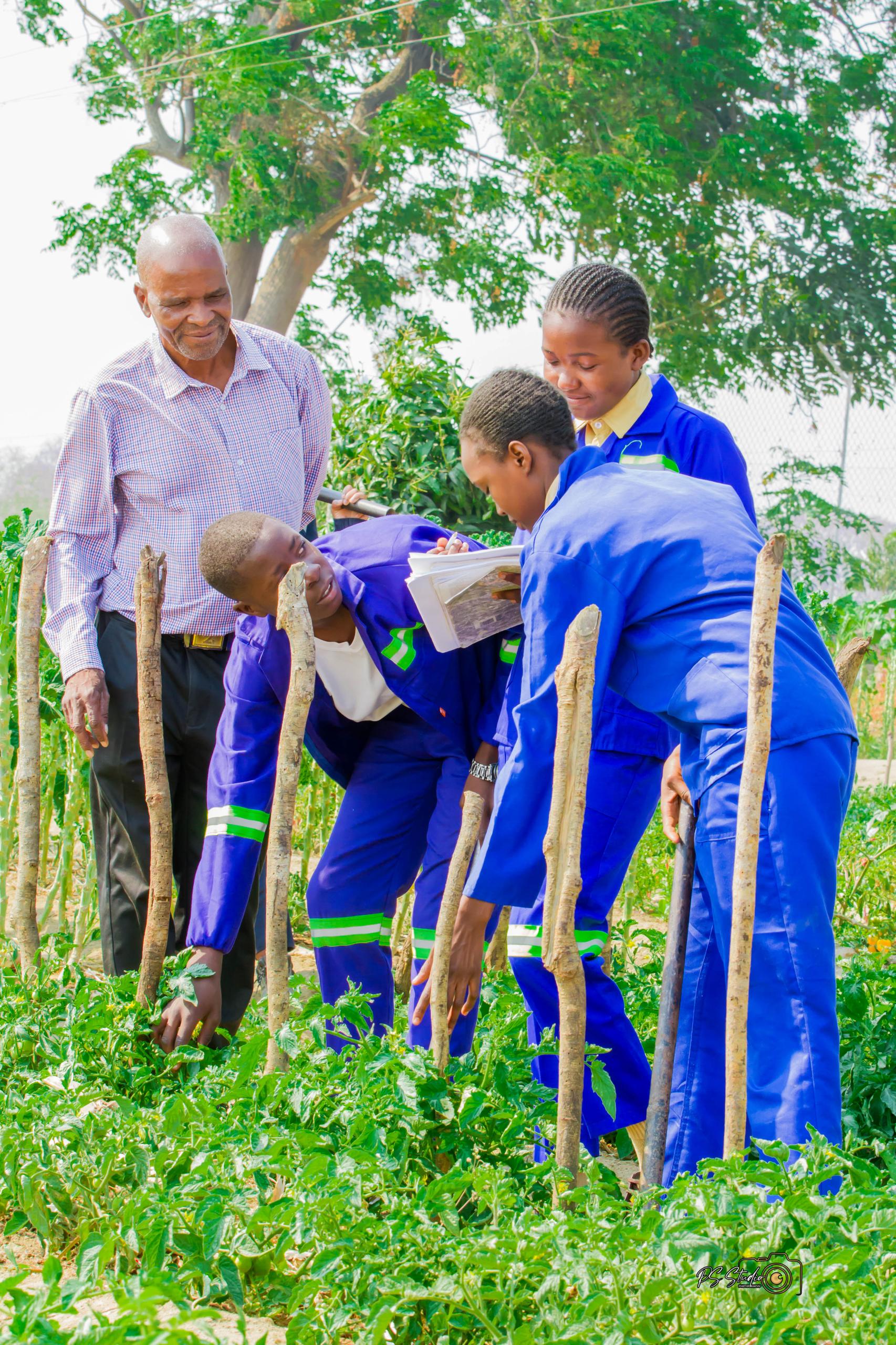 Agriculture Activity 1