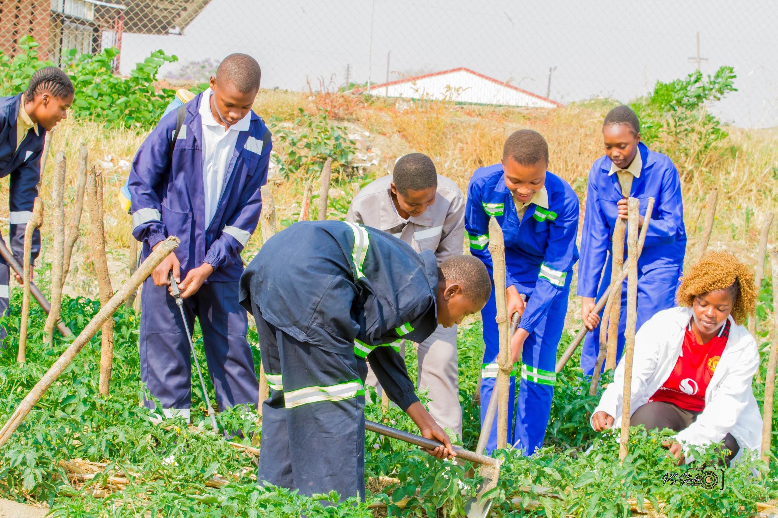 Agriculture Activity 2