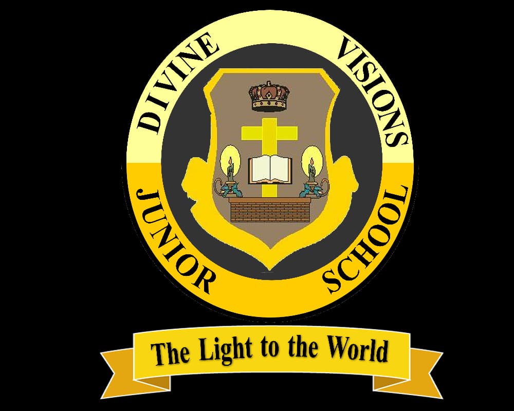 Divine Visions Junior School Logo